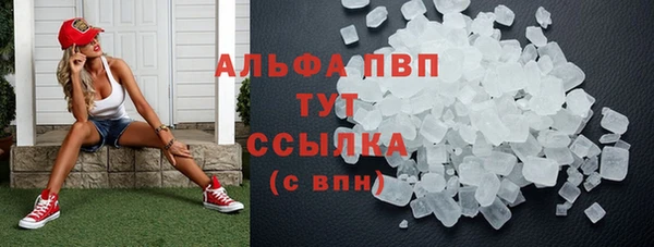 spice Козельск