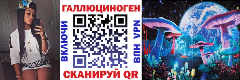 Купить закладки  Дегтярск  Галлюциногенные грибы Cubensis 